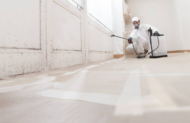 24/7 Emergency Mold Remediation experts in Bayonne, NJ