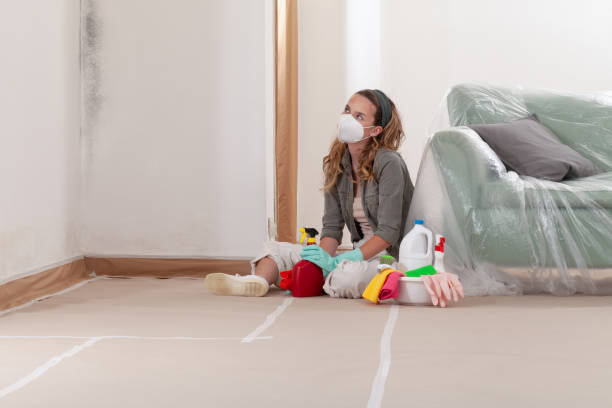 Reliable Mold Remediation contractor in Bayonne, NJ by Cheap Mold Removal